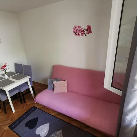 Ruza 30m From The Apartman *